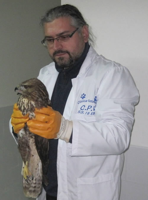 angelo bonfrisco