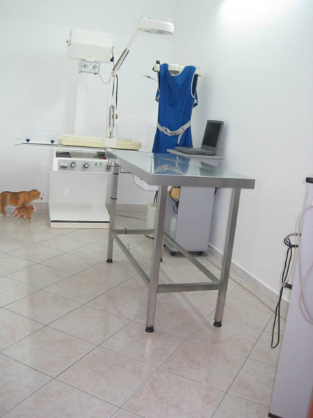 radiologia