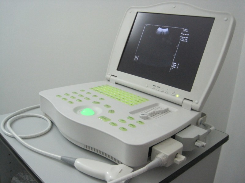 Ecografia veterinaria Salerno Centro Polidiagnostico Veterinario sas